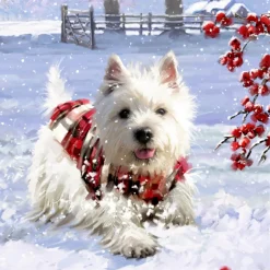 * Advent Decorations & Calendars|Advent Calendar "Dog Christmas"