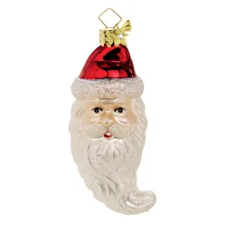 Poesie in Glas Glass Tree Decorations|Santa's Head